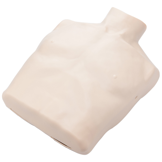 BRAYDEN Manikin Body Skin - Adult - Promed Supplies Pty Ltd